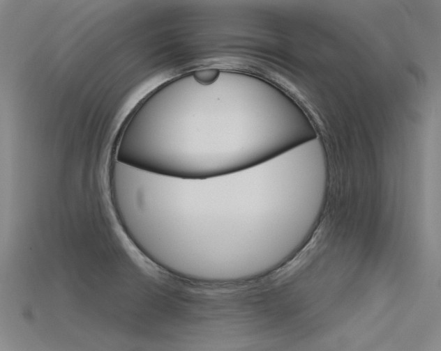 X0000115801426200911131013