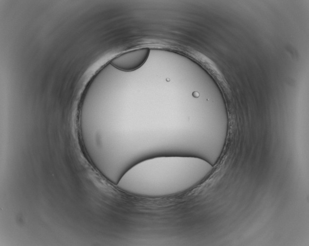 X0000115801427200911131013