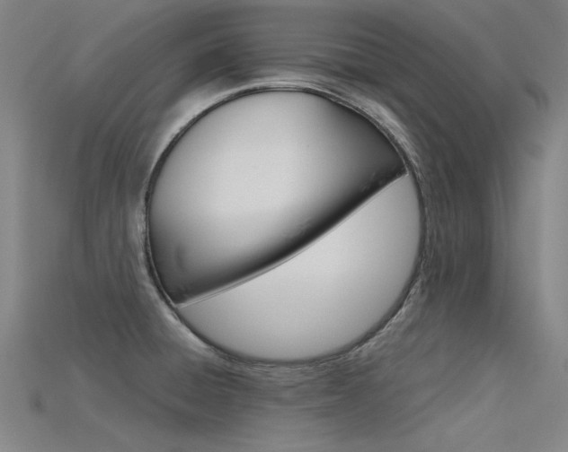 X0000115801428200911131013