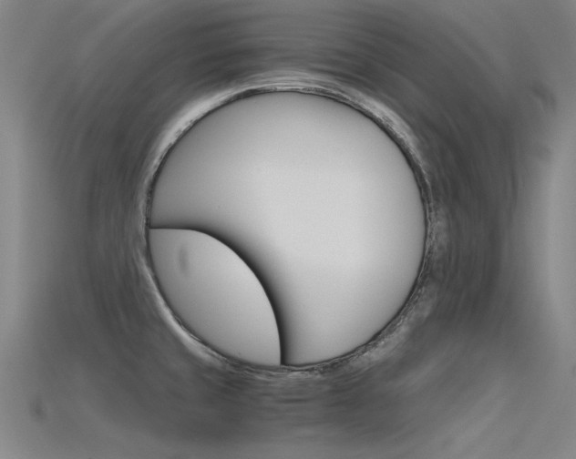 X0000115801429200911131013