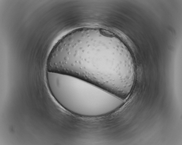 X0000115801432200911131013