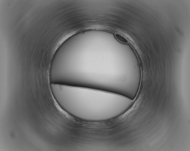 X0000115801433200911131013