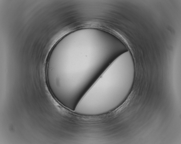 X0000115801434200911131013