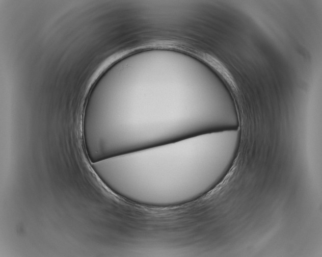 X0000115801436200911131013
