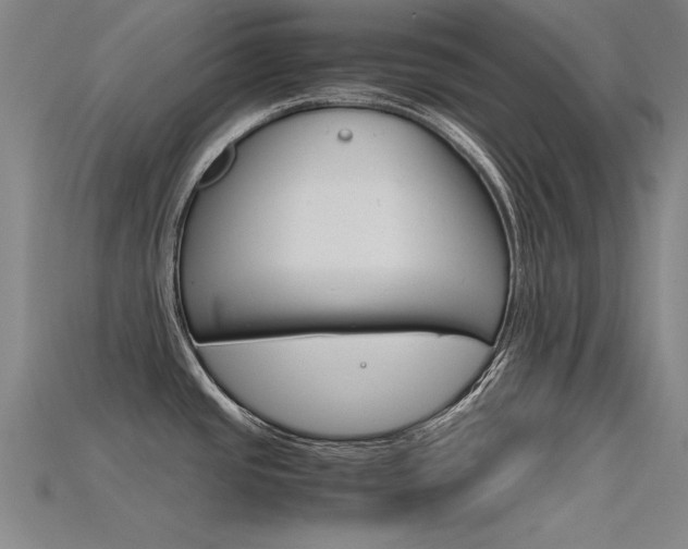 X0000115801437200911131013
