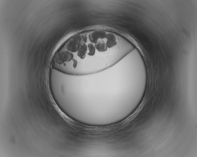 X0000115801438200911131013