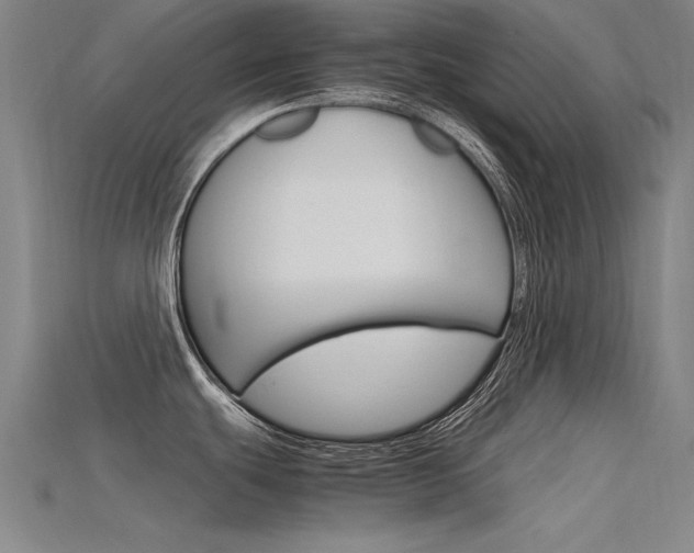 X0000115801439200911131013