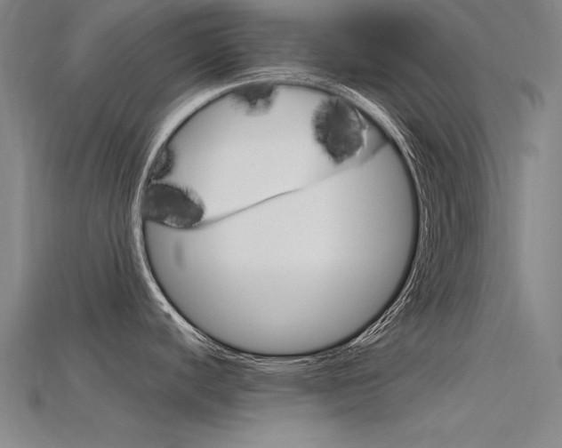 X0000115801440200911131013