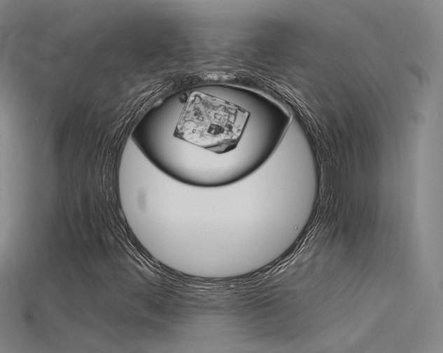 X0000115801444200911131012