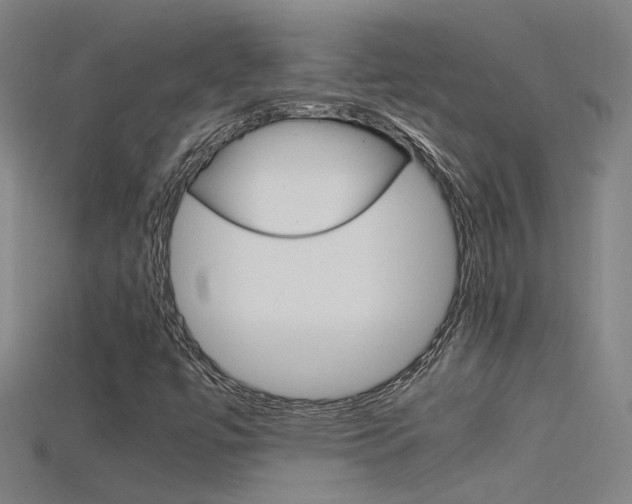 X0000115801447200911131012