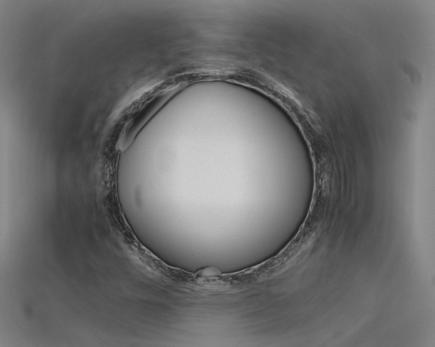 X0000115801448200911131012