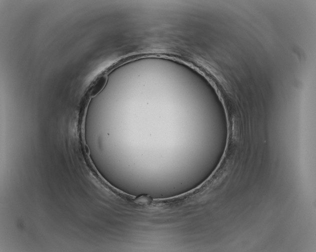 X0000115801452200911131012