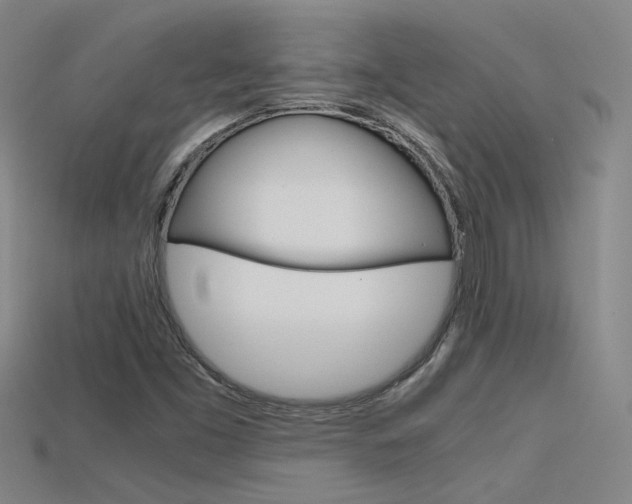 X0000115801453200911131012