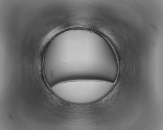 X0000115801455200911131012