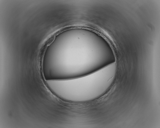 X0000115801456200911131012