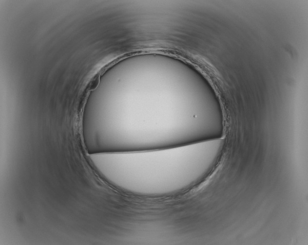 X0000115801457200911131012