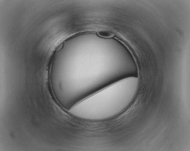 X0000115801459200911131012