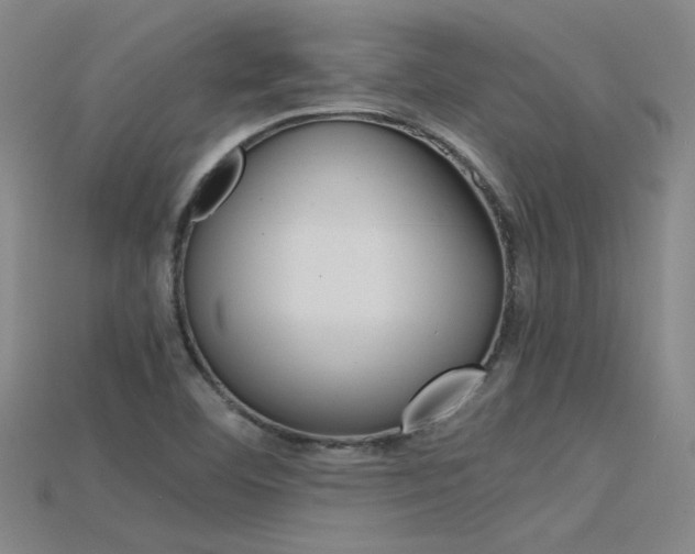 X0000115801460200911131012