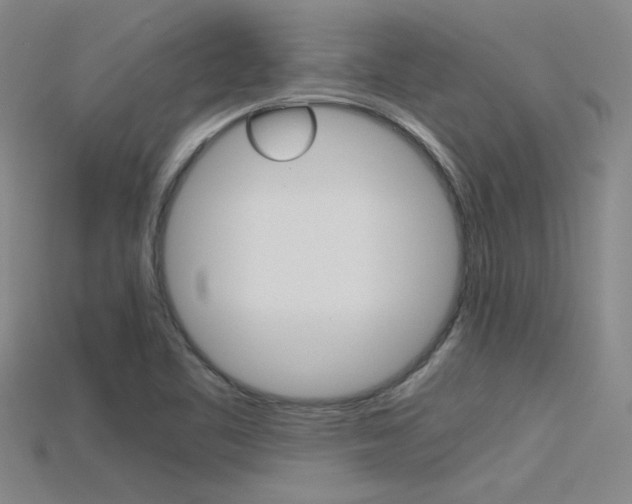 X0000115801461200911131012