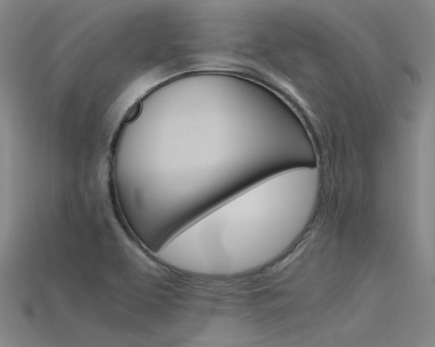 X0000115801463200911131012