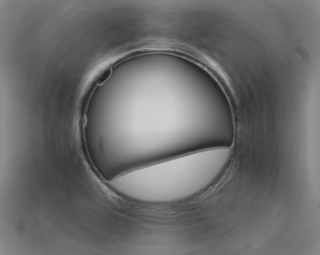 X0000115801464200911131012