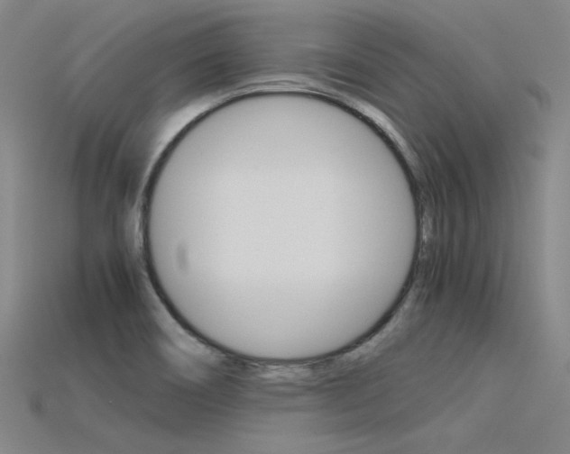 X0000115801466200911131012