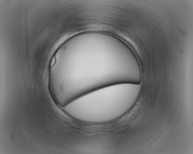 X0000115801467200911131012