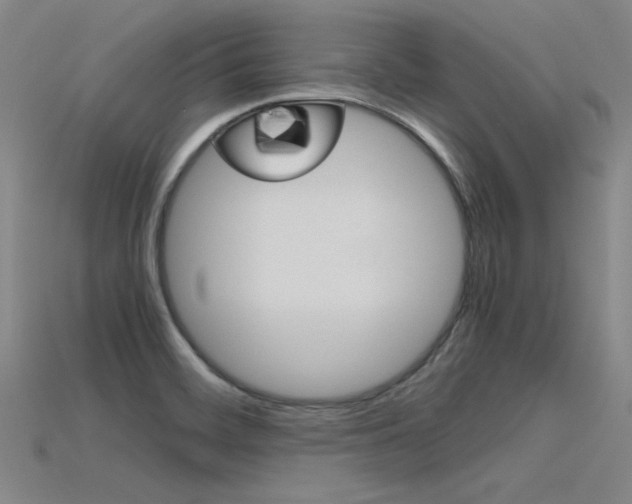 X0000115801468200911131012