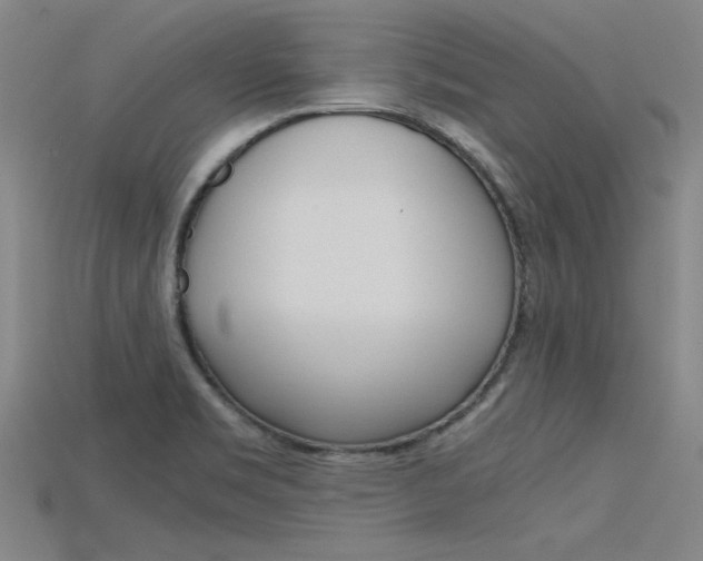 X0000115801469200911131012