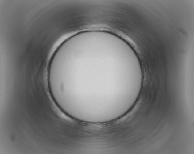 X0000115801470200911131012