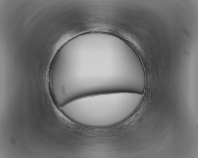X0000115801471200911131012
