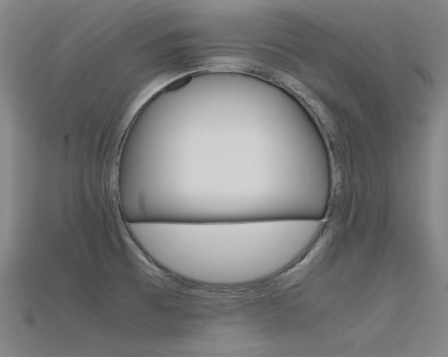 X0000115801473200911131012