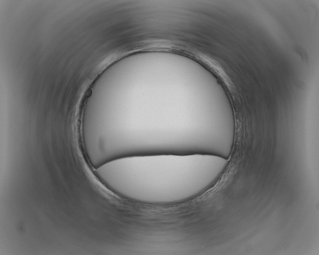 X0000115801475200911131012