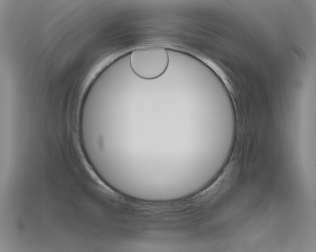 X0000115801477200911131012