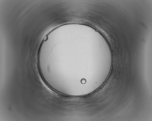 X0000115801479200911131012