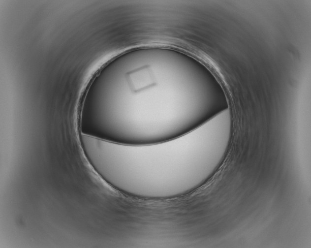 X0000115801480200911131012