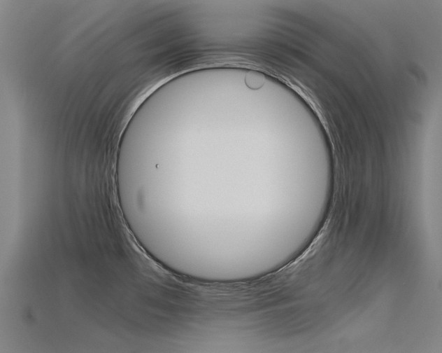 X0000115801481200911131012