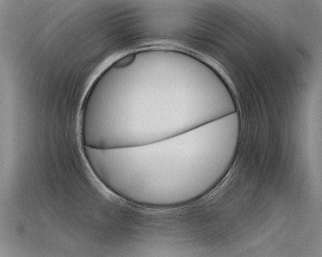 X0000115801482200911131012