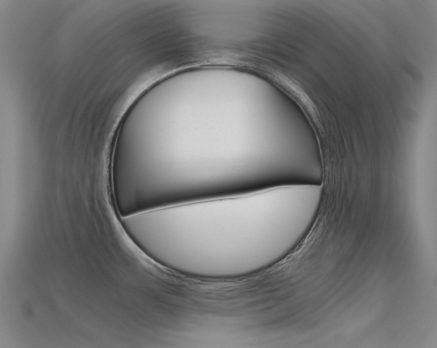 X0000115801483200911131012