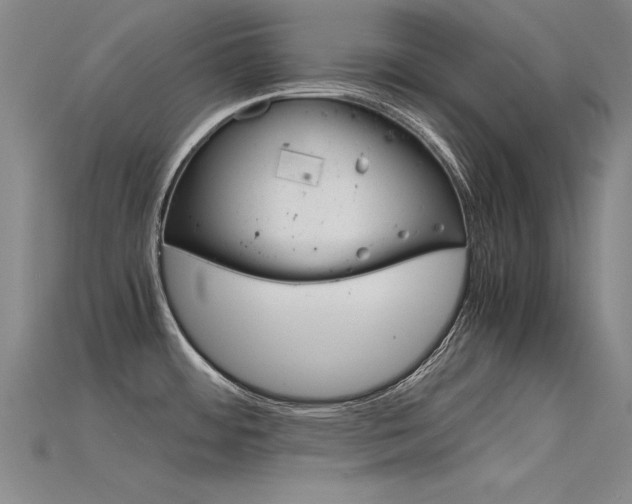 X0000115801484200911131012