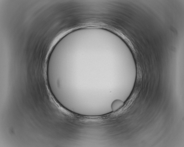 X0000115801486200911131012