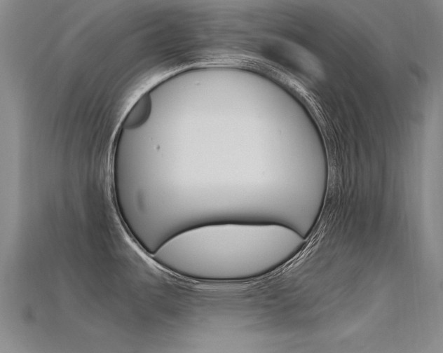 X0000115801487200911131012
