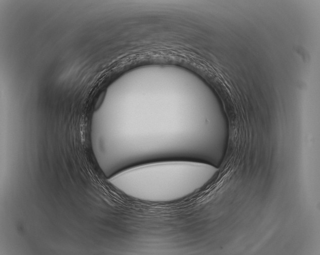 X0000115801490200911131011