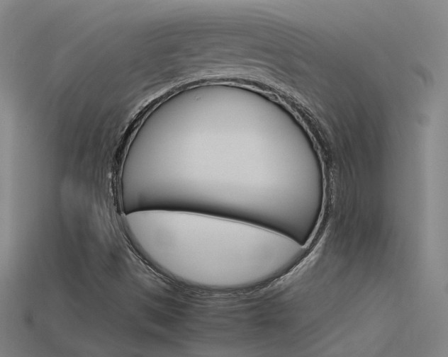 X0000115801497200911131011