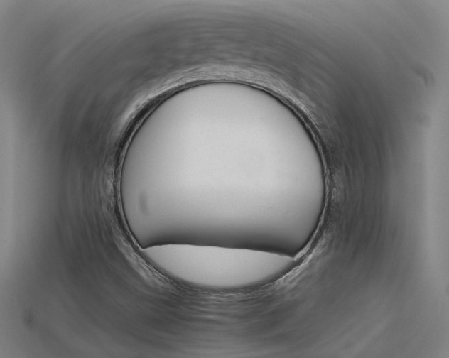 X0000115801499200911131011