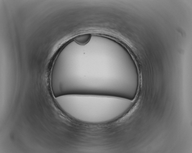 X0000115801501200911131011