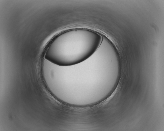 X0000115801502200911131011