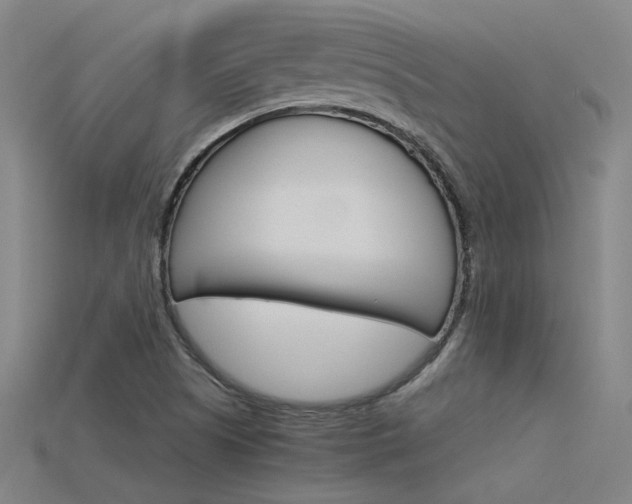X0000115801505200911131011
