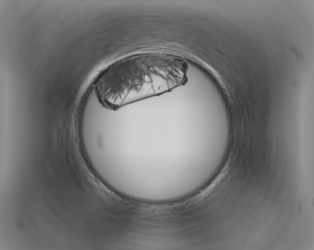 X0000115801506200911131012