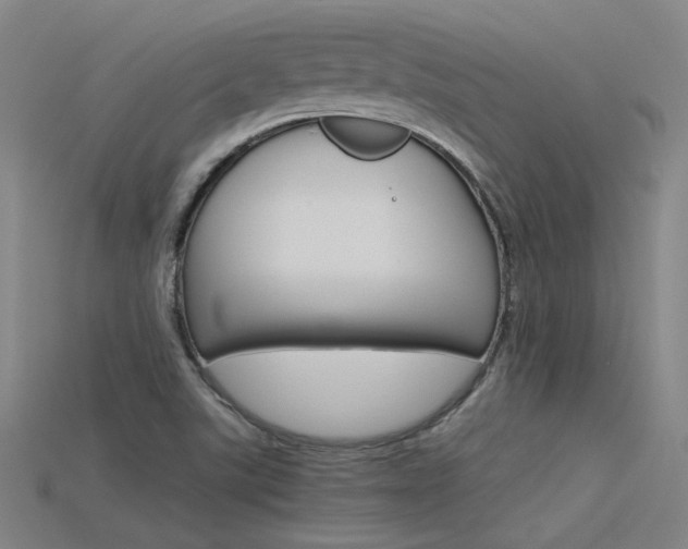 X0000115801507200911131012